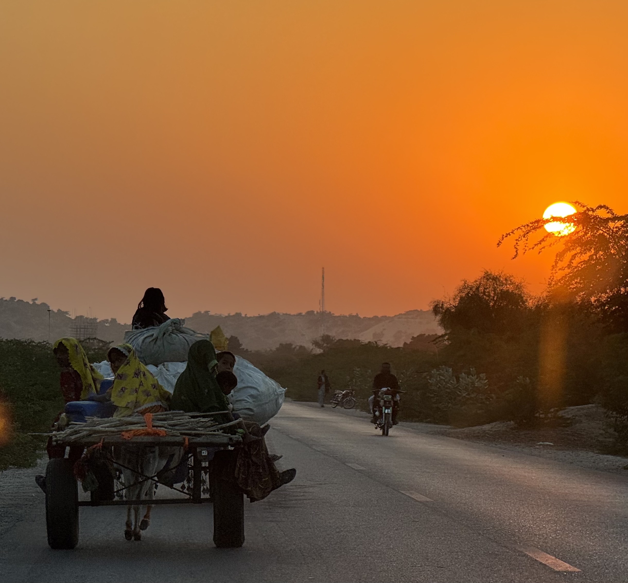 سرد لاش جو سفر 